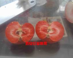 ͼۺɫ֮ƻ 
ؼ: