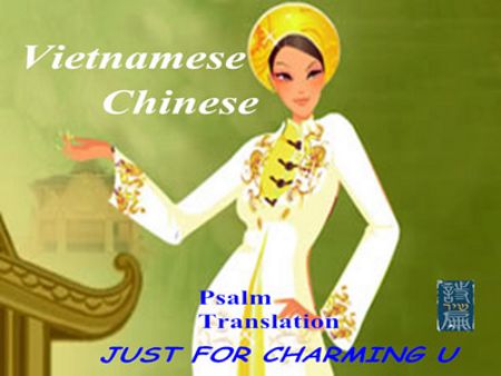 ʫƪ롿Ϻ빫˾/Ϻ빫˾ļרҵ 
ؼ:
