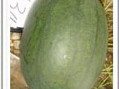 ͼңӦ۸ 
ؼ: