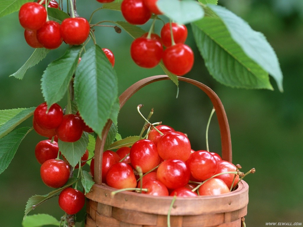 ڹ̨ӣҴչӦõѡ ̨ӣҴļ 
ؼ: