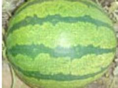Żݵ 
ؼ: