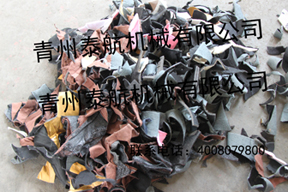 鲼 ̩鲼  鲼 
ؼ: