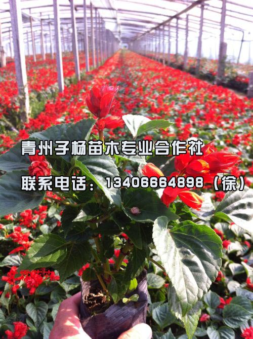 һ졪Ʒʵһ죬͵ľ 
ؼ: