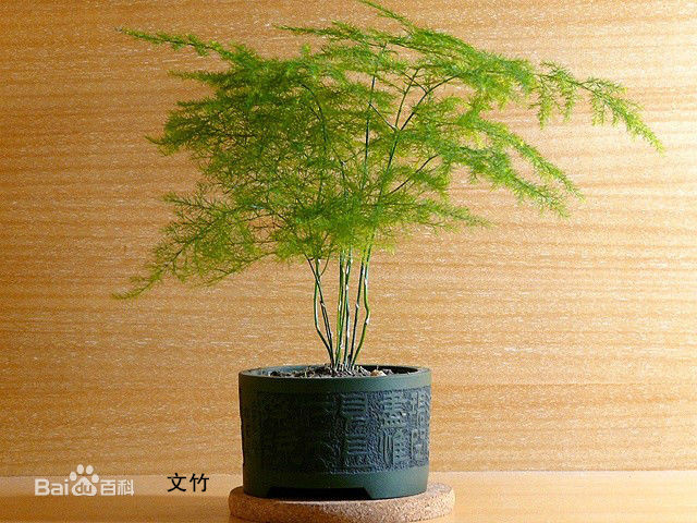 л_ѡԵ޹˾  
ؼ: