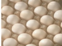 ŻũҵƷ۸Ӧ_ũҵƷ۸ 
ؼ: