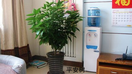 ھ͵Եڹ˾͵ңڵλʡ 
ؼ: