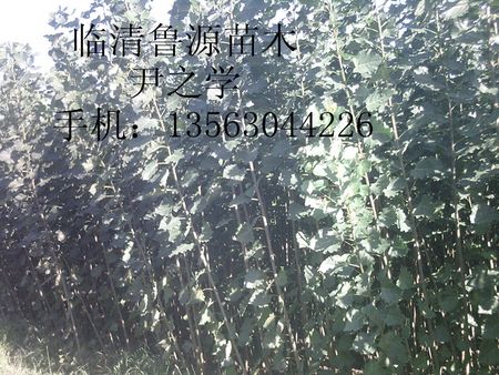 107-Դľרҵӭѡ 
ؼ: