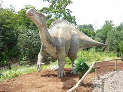 Ǯ ķƼ 
ؼ: