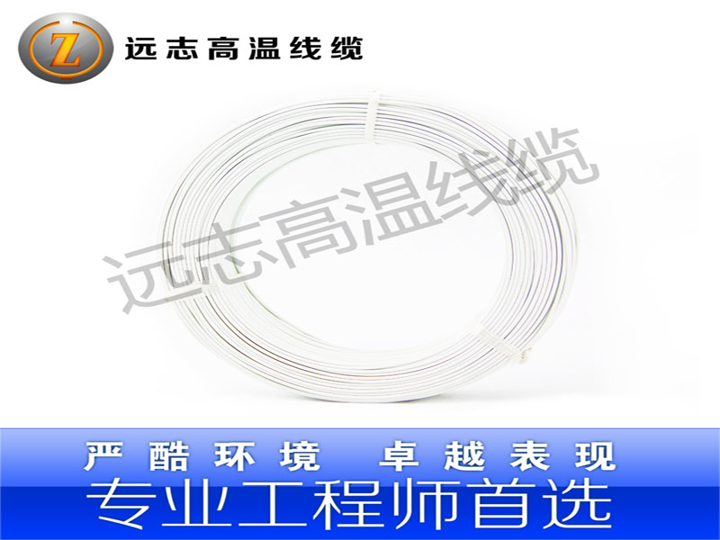 ϵߣλԶ־FEP200̩ 
ؼ: