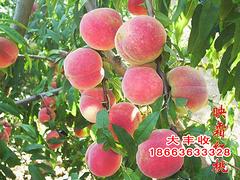 ףӳ˪ļҳȻǴ! 
ؼ: