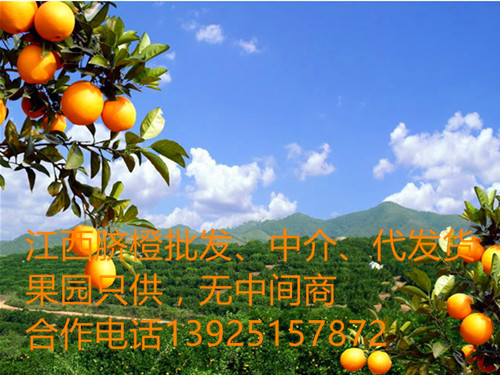 Ӧ ȼ۸ 
ؼ: