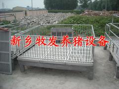 Զ豸_õ豸 
ؼ:
