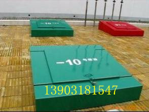 ǿֱվ/; 
ؼ: