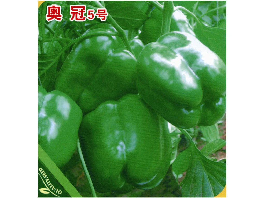 ǿʸӡٹʢҵ 
ؼ: