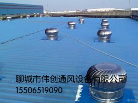 ӱ޶ͨҡΰͨΪͨ⣬޶ͨ 
ؼ: