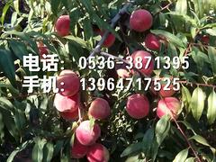 ɽΫݡӳ˪硢ӳ˪ 
ؼ: