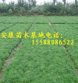 عС10ֺ20ֺ3040ֺ 
ؼ: