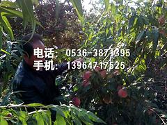 LOOKųϡӳ˪硿ֲأȷѡ 
ؼ: