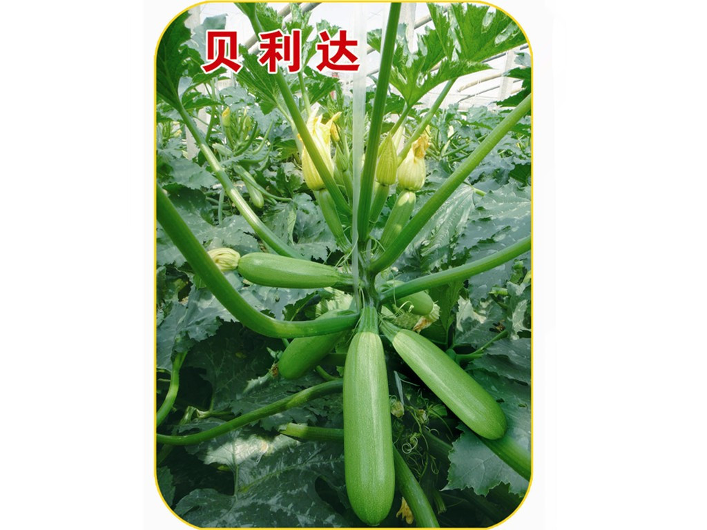 紺ֲڸкɫԺ«ӡٹʢҵ 
ؼ: