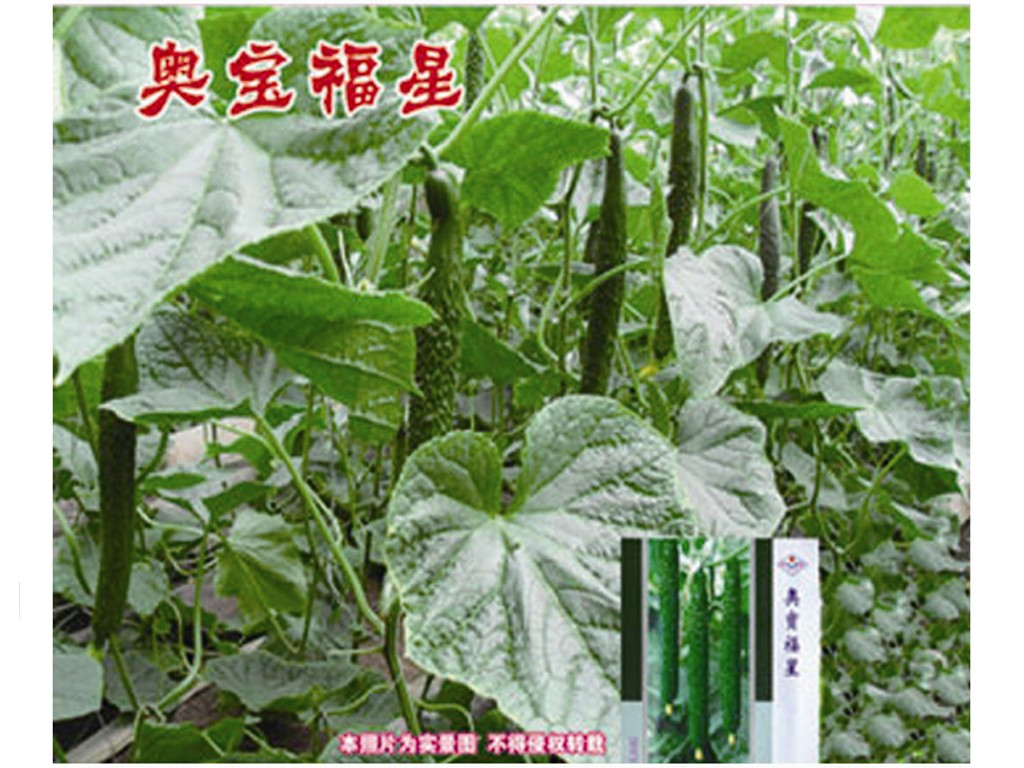 紺ͻƹӡʢҵ 
ؼ: