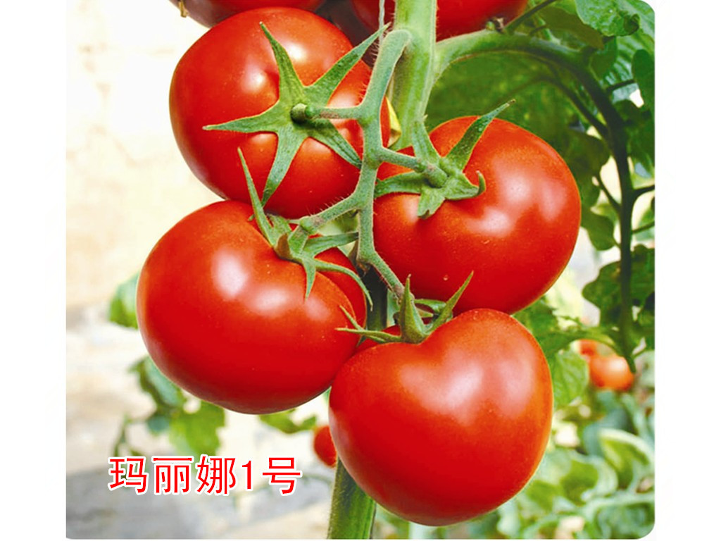 ɫ޿ڸкôӡʢҵ 
ؼ: