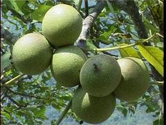 8518 Ʒʺõ8518繩Ӧعҵ 
ؼ: