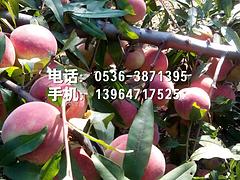 磺ӳ˪硾ۡ۸񡿡 
ؼ:
