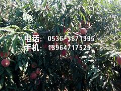 ˭֪ӳ˪硿ɽӳ˪硢ӳ˪۸ 
ؼ: