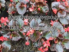 ļ@@ӱȸ&&ϳ- 
ؼ: