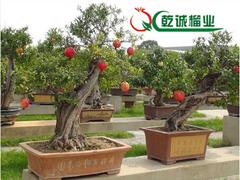 ʯ辰Ǭʯ|Ϸʯ辰 
ؼ: