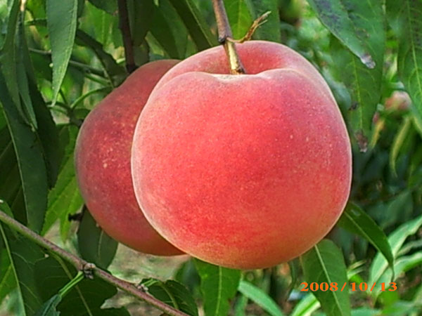 ѩǮһ|ݶϰ 
ؼ: