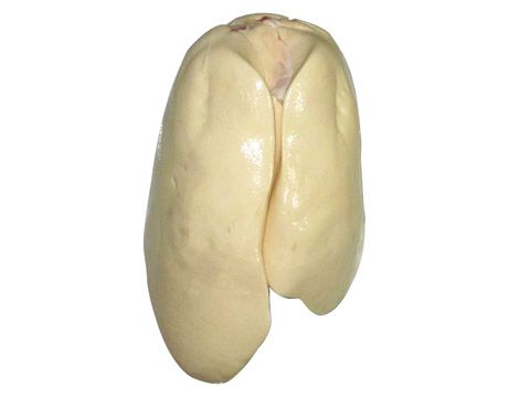 õĶγңз 
ؼ: