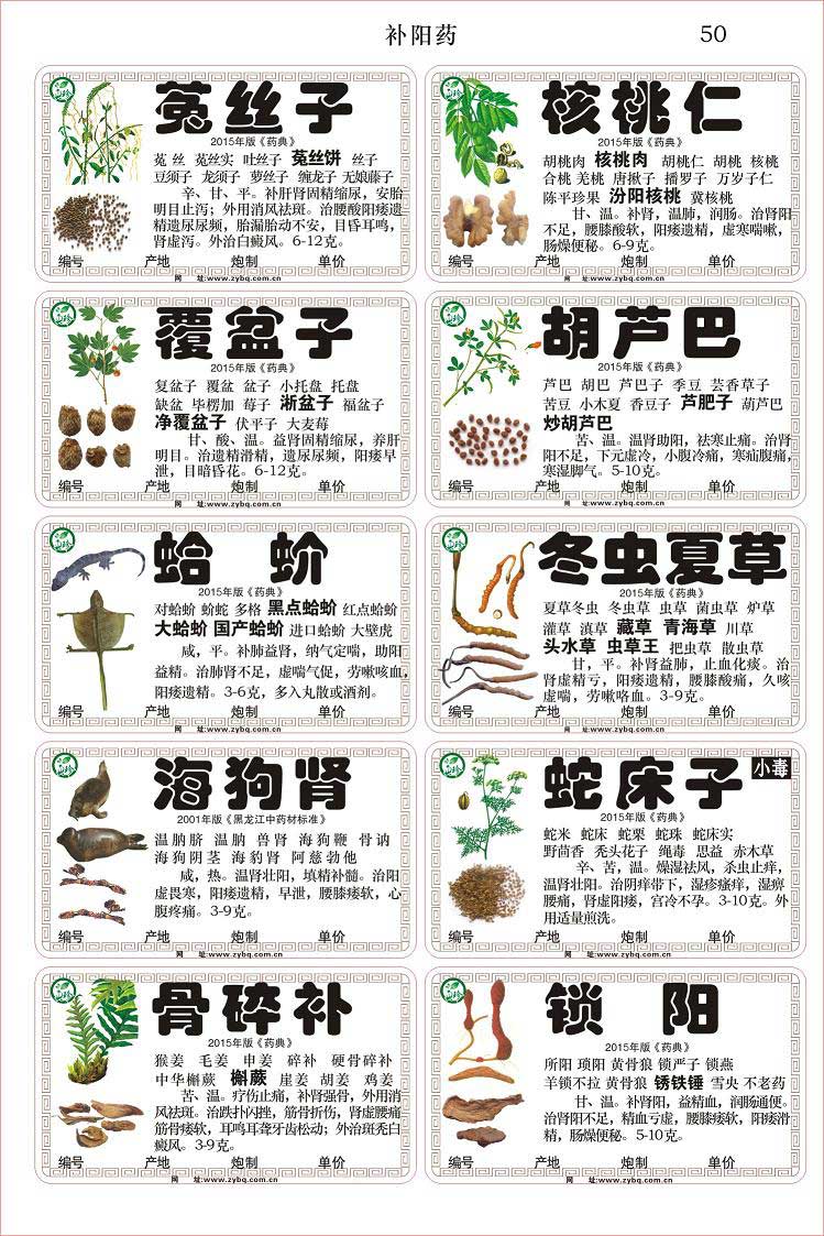 йӦŻݵ2015Ĥױǩ_Ʒʱ֤2015Ĥҩ淶ҩǩ 
ؼ: