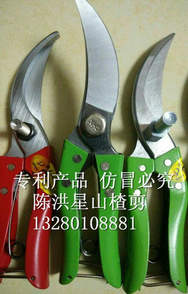 Ϋмλɽ髼ɽɽרü 
ؼ: