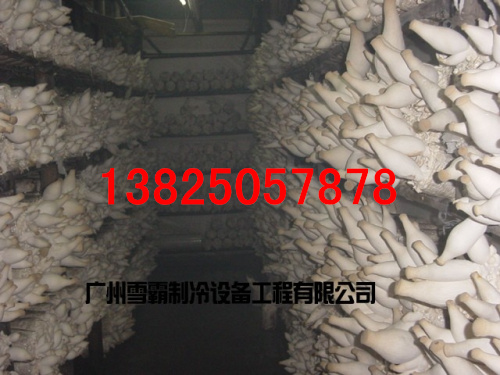 ھƵ⽨죬Ƽѩ 
ؼ: