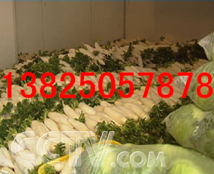 ԴƵⰲװ_ѩ䡪ڱõṩ 
ؼ: