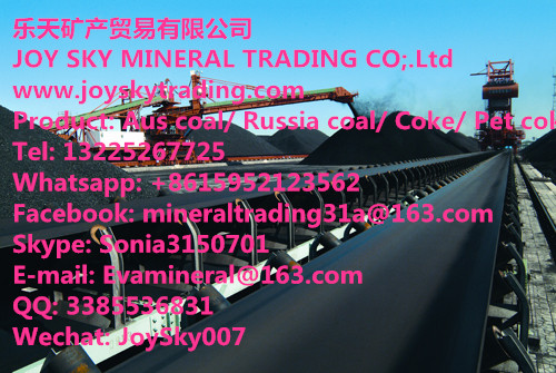 Australia/Russia/Indonesia Steam Coal Supplier 
ؼ: