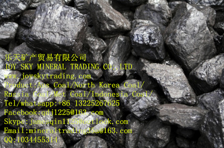 Anthracite coal supplier/ Aus/ Russia coal trade 
ؼ: