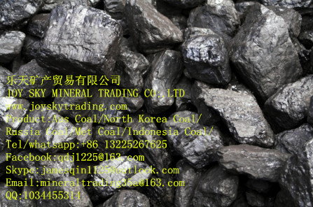 Anthracite coal supplier/ Aus/ Russia coal trade 
ؼ: