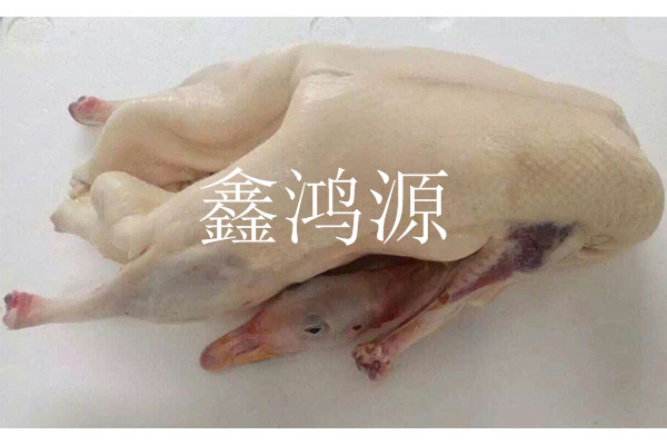 Ϋõ칩Ӧ     
ؼ: