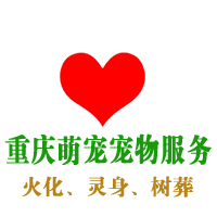 ĳ𻯹˾ 
ؼ:
