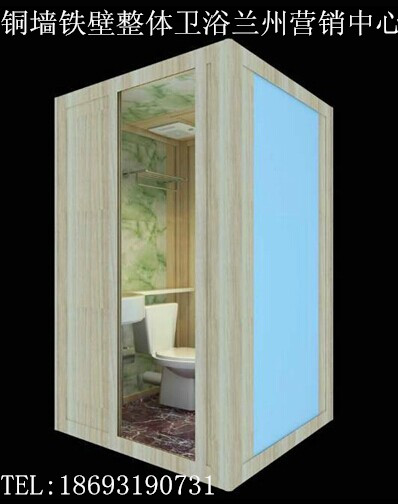 项目投资价值企划及风险控制报告|项目投资价