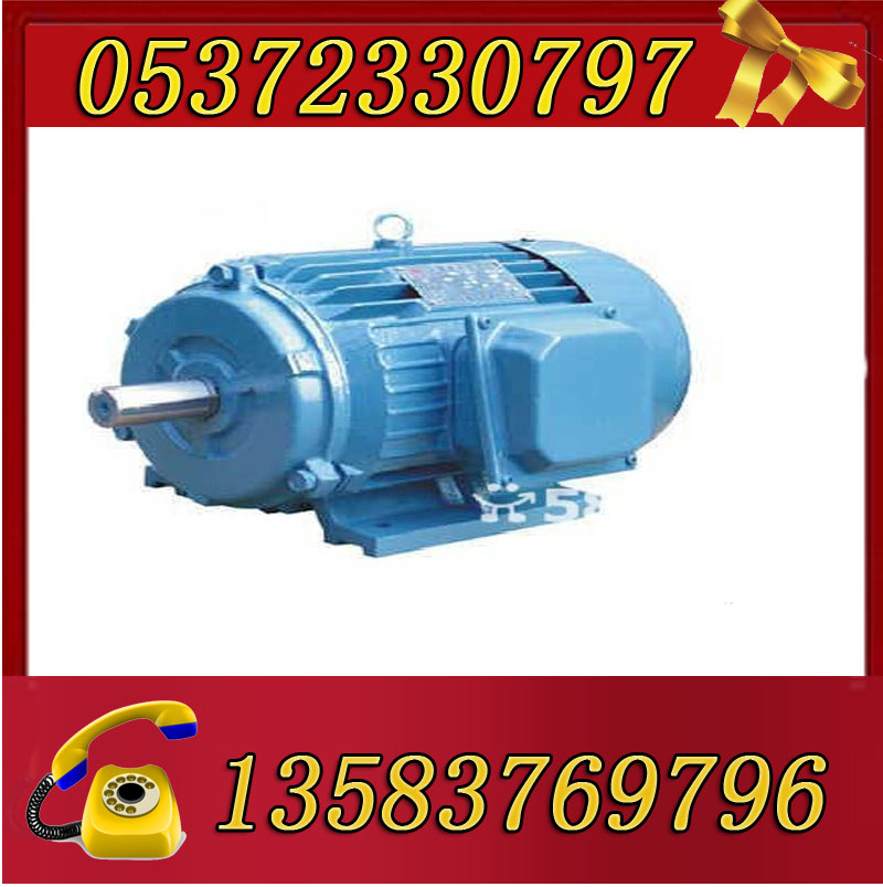 YBK2-132S1-2-5.5 
ؼ: