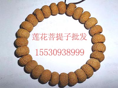 ӣӦӵֲ 
ؼ: