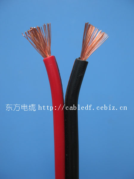  
ؼ:2010-02-05