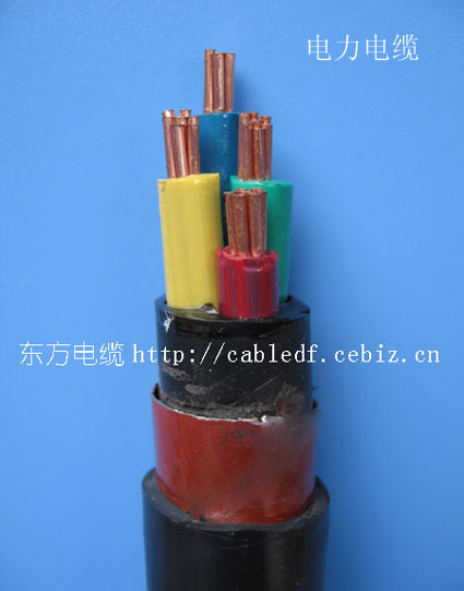  
ؼ:2010-02-05