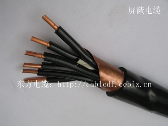 ε 
ؼ:2010-02-05