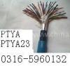źŵPZYA23 PTYAH  PTYA  PZYA  PTYV 
ؼ: