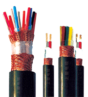 ƵBP-VVP BP-VVPP2 BP-VVPPP2 BP-VVP3 
ؼ: