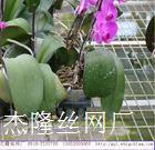 紲 
ؼ:2020-02-24